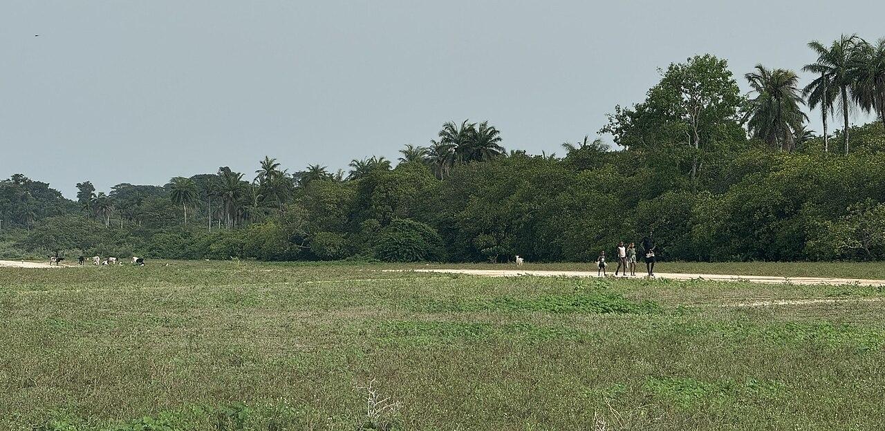 Aeroporto de Bubaque terminal building with small propeller aircraft on unpaved airstrip
