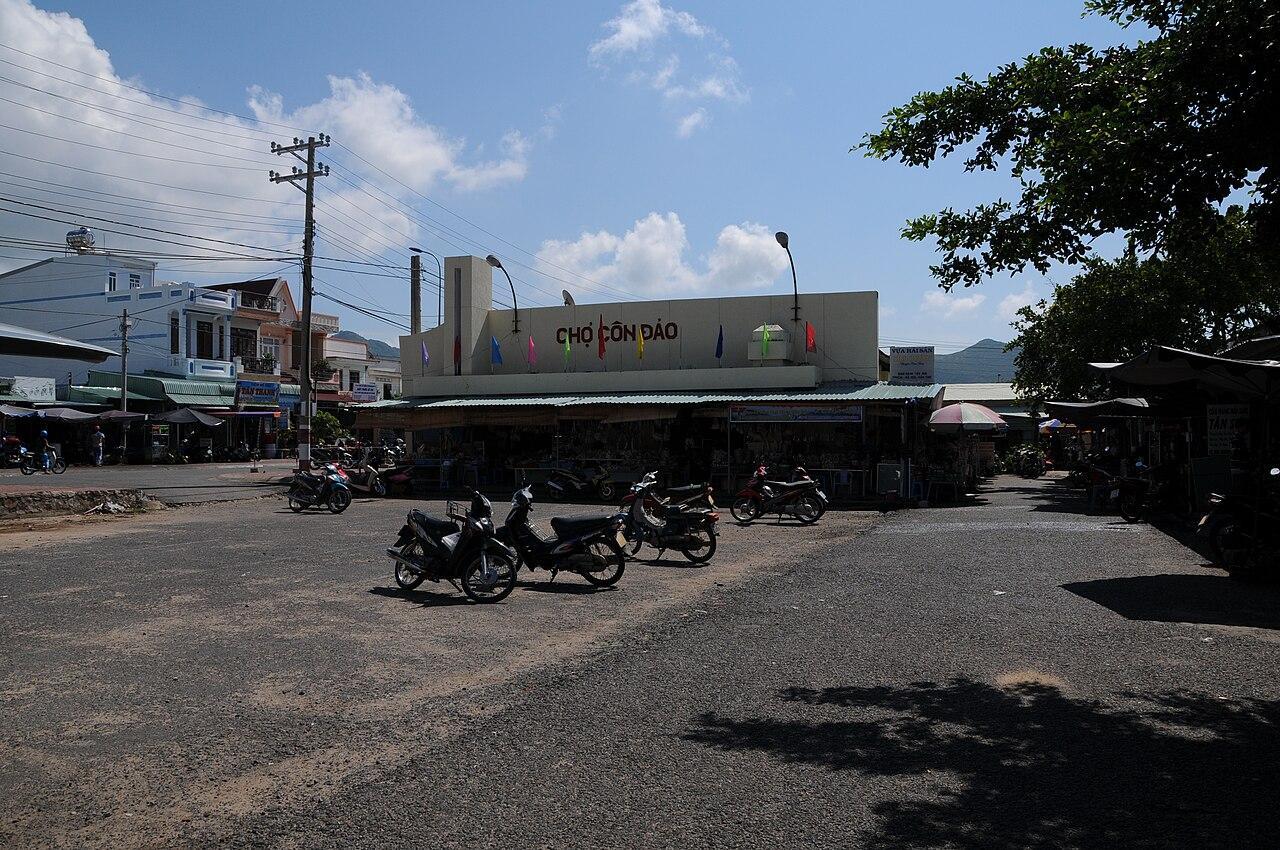 Con Dao - Co Ong Airport (VCS) airport terminal
