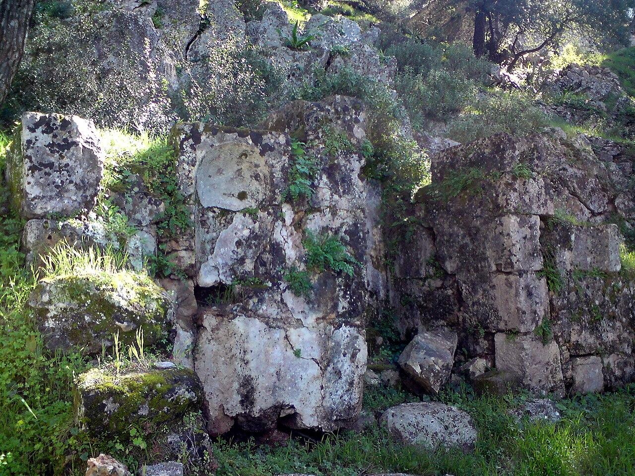 Ancient stone ruins surrounded by green vegetation near Kefalonia airport